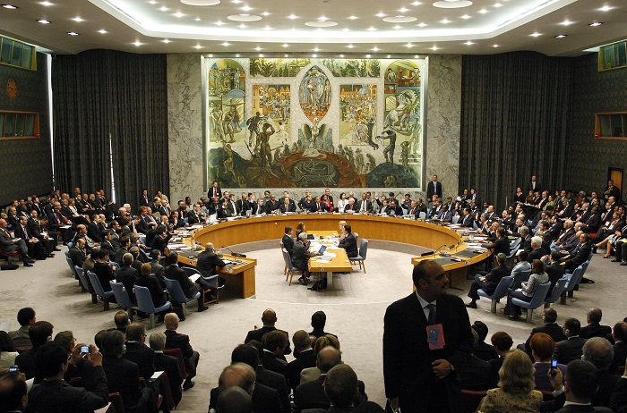 United Nations Security Council