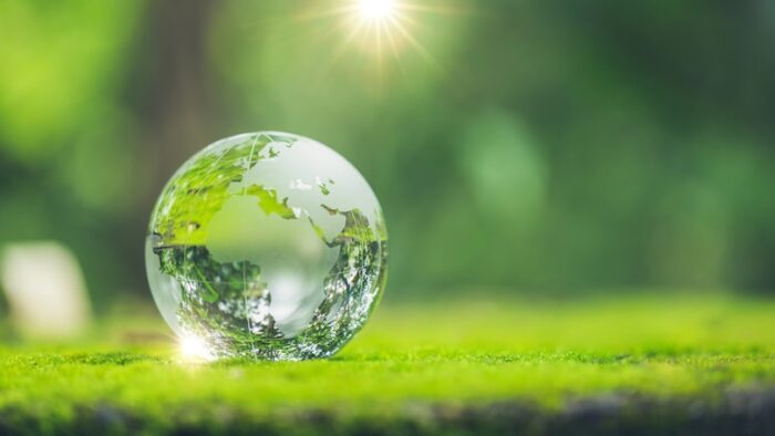 Sunlight with earth sphere crystal or sustainable globe glass on green moss nature background in ecology environment forest. concept of tree conservation environmental, protection planet eco.