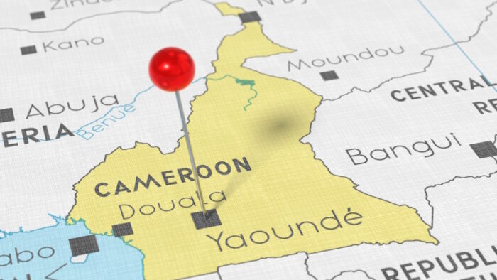 Cameroon’s Leadership Longevity and the Limitations of Selectorate Theory