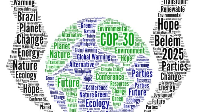 Opinion – How Could COP30 Put Climate Back at the Top of the Global Agenda?