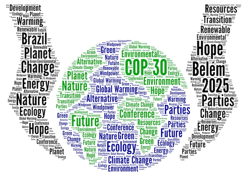 Opinion – How Could COP30 Put Climate Back at the Top of the Global Agenda?
