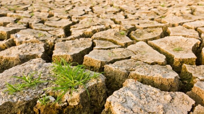 Land, Climate, and Conflict: Unravelling the Nexus in Sudan, Syria, and Morocco