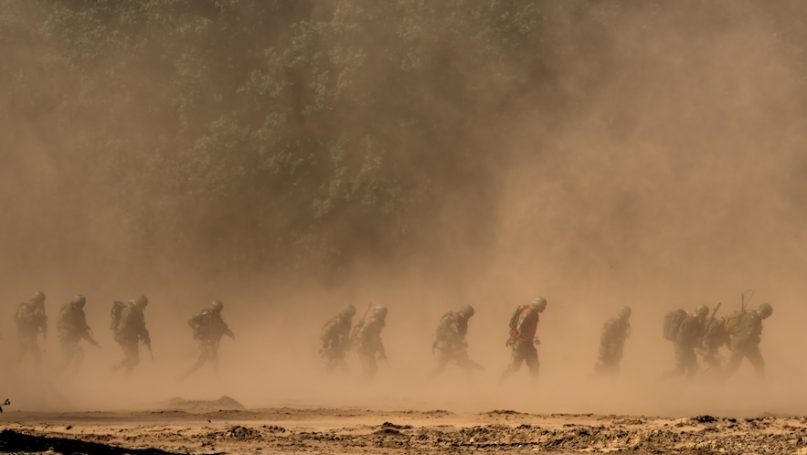 verzellenberg/Shutterstock