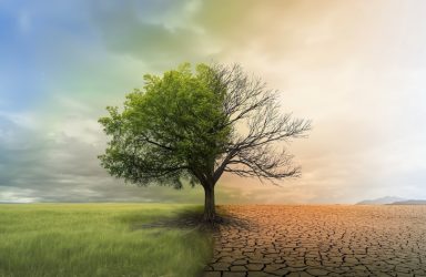 Dimitri Tymchenko/Shutterstock