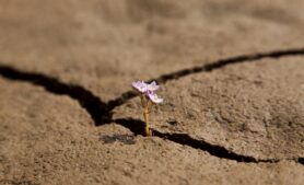 dmbaker/Depositphotos