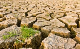 stoonn/Depositphotos