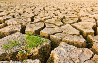 stoonn/Depositphotos