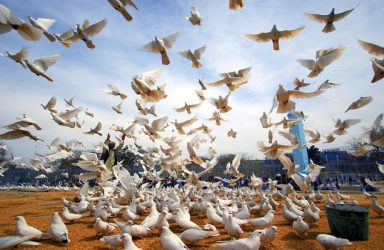 Mazar-i-Sharif, Afghanistan (UN Photo Helena Mulkerns)