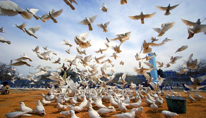 Mazar-i-Sharif, Afghanistan (UN Photo Helena Mulkerns)