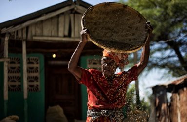 Image by Logan Abassi/UNMINUSTAH