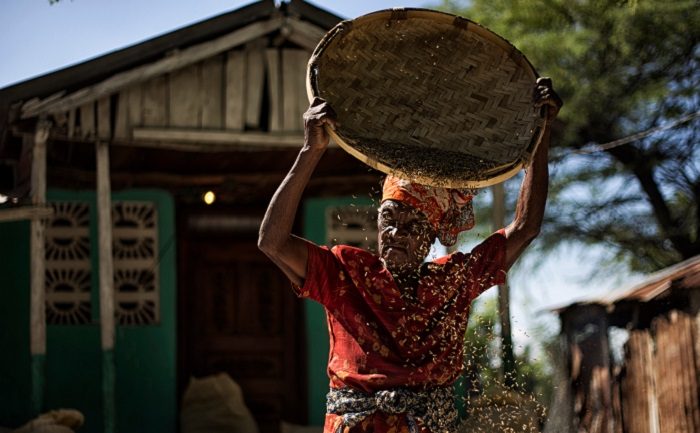 Image by Logan Abassi/UNMINUSTAH