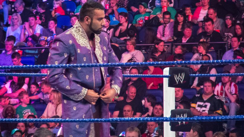 Wrestlenomics: The leading source for research & analysis of pro wrestling business
