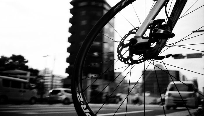 Image by