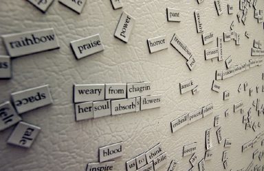 Image by Jenny Lee Silver