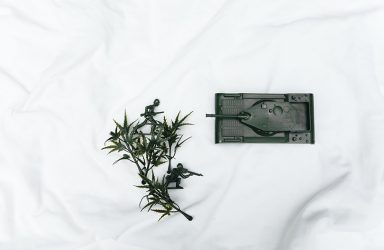 Polina Tankilevitch/Pexels